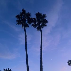 Meet your Posher, Mari